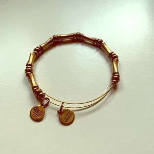 Alex & Ani Bamboo Bangle Bracelet - Rafaelian Gold